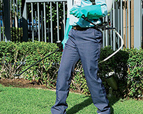 芝生の年間お手入れサービス