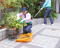 お庭をキレイにサービス