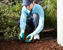 マルチングの敷きつめサービス