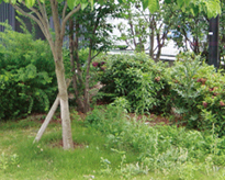 雑草が目立たないサービス