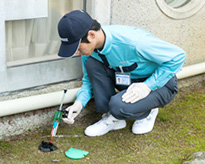 ゴキブリ駆除サービス(家庭用害虫駆除定期サービス)