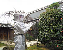 ハチ駆除サービス