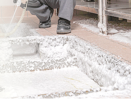 チョウバエ駆除サービス