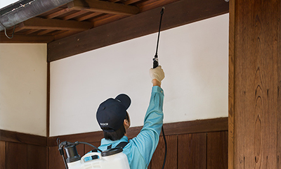 クモ駆除サービス